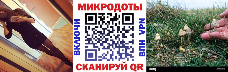 Купить закладки  Городовиковск  Галлюциногенные грибы ЛСД 