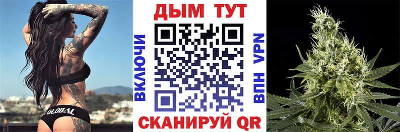 Конопля SATIVA & INDICA  Купить где  Городовиковск 
